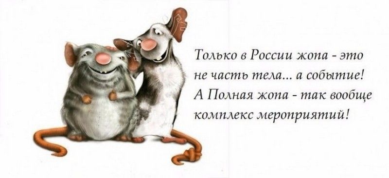 Только в России жопа это не часть тела а событие А Полная жопа так вообще комплекс мероприятий 5