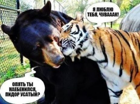 Ъ ЛЮБЛЮ 2 Щ _ ШШШ ПИПЩ ВПШ