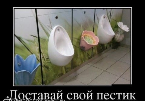Ай свой пестик