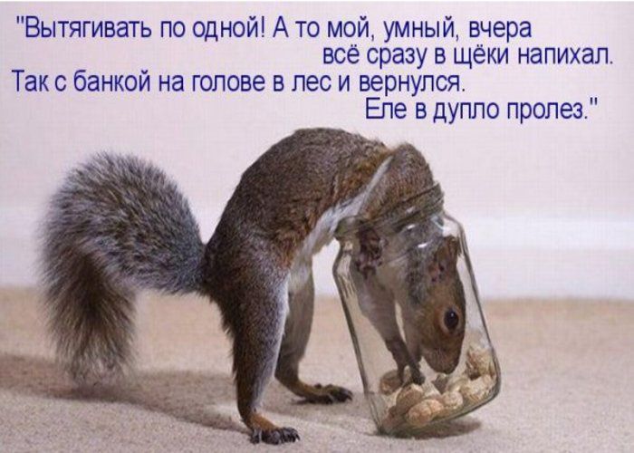 Вытягивать по одной А то мой умный вчера всё сразу в щёки напихап Так о банкой на голове в лес и вернулся Епе в дупло пролез