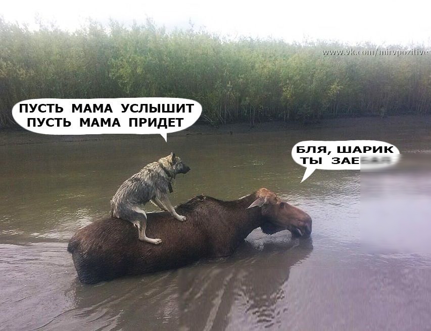 ми ПУСТЬ МАМА УСЛЫШИТ ПУСТЬ МАМА ПРИДЕТ