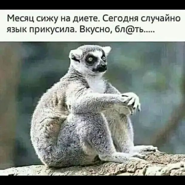 Месяц сижу на диете Сегодня случайно язык прикусила Вкусно бпть