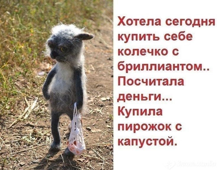 _ Хотела сегодня купить себе бриллиантом _ Посчитала пирожок с капустой