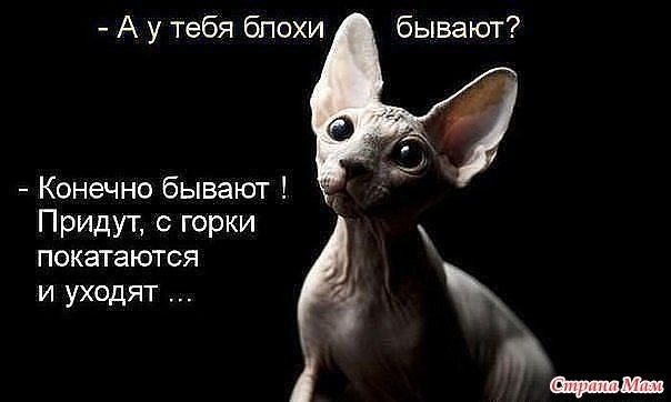А у тебя бпохи бывают Конечно бывают Придут горки покатаются и уходят