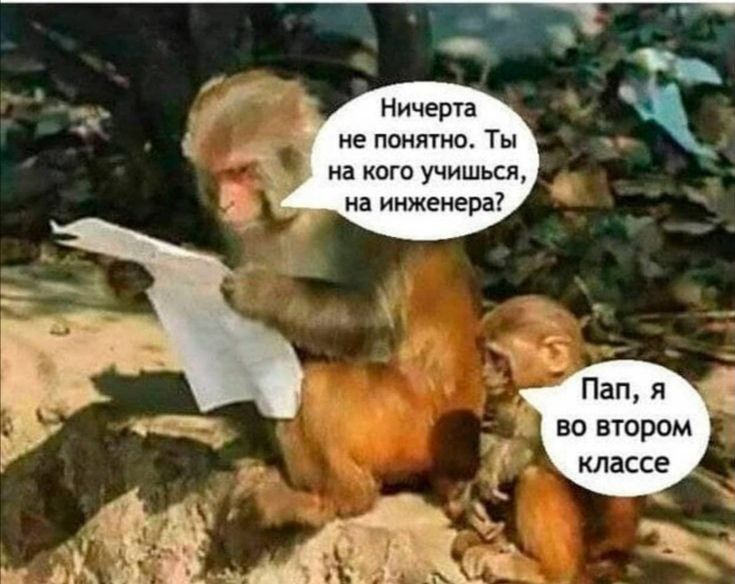 Ничерта не понятно Ты на КОГО УЧИШЬСЯ на инженера Пап я во втором классе