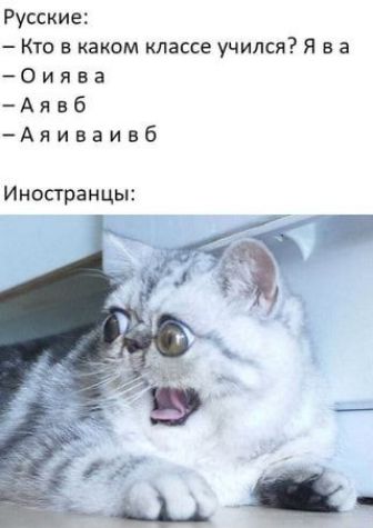 Русские Кто в каком классе учился Я в а 0иява Аявб Аяиваивб Иностранцьп