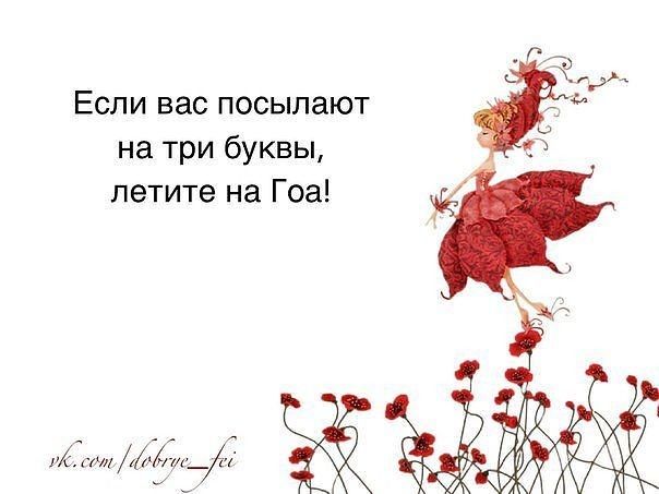 Если вас посылают на три буквы летите на Гоа ёж