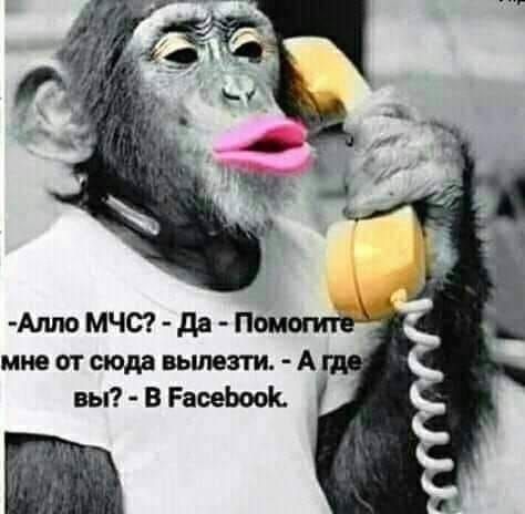 мне от сюда вьтет А вы В РаоеЬооК