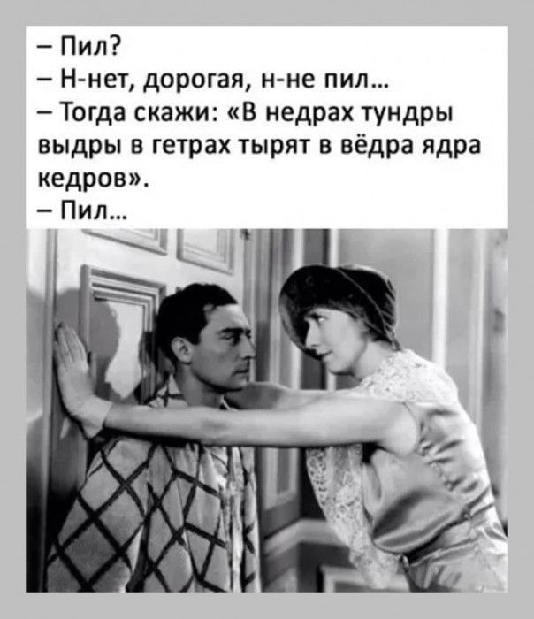 Пил Н нет дорогая н не пил Тогда скажи в недрах тундры выдры в гетрах тырят в вёдра ядра кедров Пил