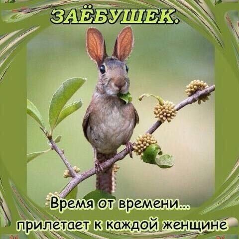 Времятолувремени