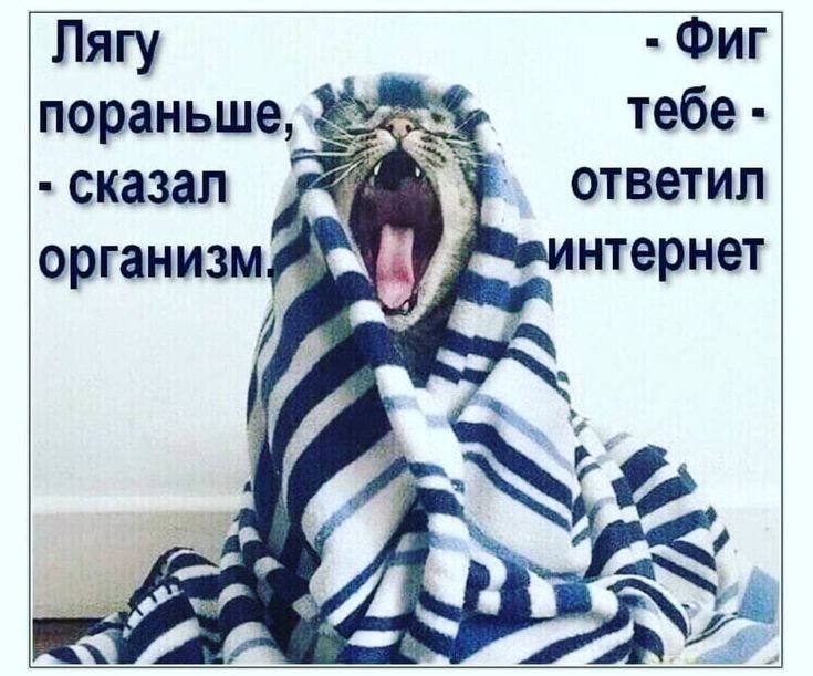 Лягу ФИГ з тебе ответил _ нтернет