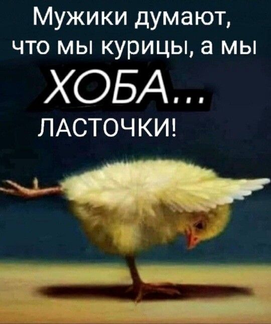 Мужики думают что мы курицы а мы ХОБА ЛАСТОЧКИ 0153