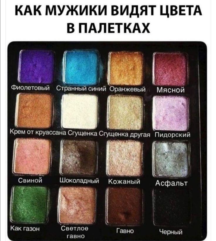 КАК МУЖИКИ ВИДЯТ ЦВЕТА В ПАЛЕТКАХ Фиолетовый Странндйсиний Оранжевый Мясной Шоколадный Кожаный Как газон Светлое Гавно Черный га ВНО