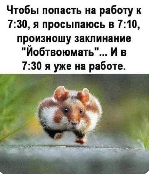 Чтобы попасть на работу к 730 я просыпаюсь в 710 пр_оизношу заклинание Иобтвоюмать И в 730 я уже на работе