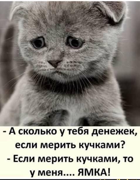 г А сколько у тебя денекек если мерить кучками Если мерить кучками то у меня ЯМКА