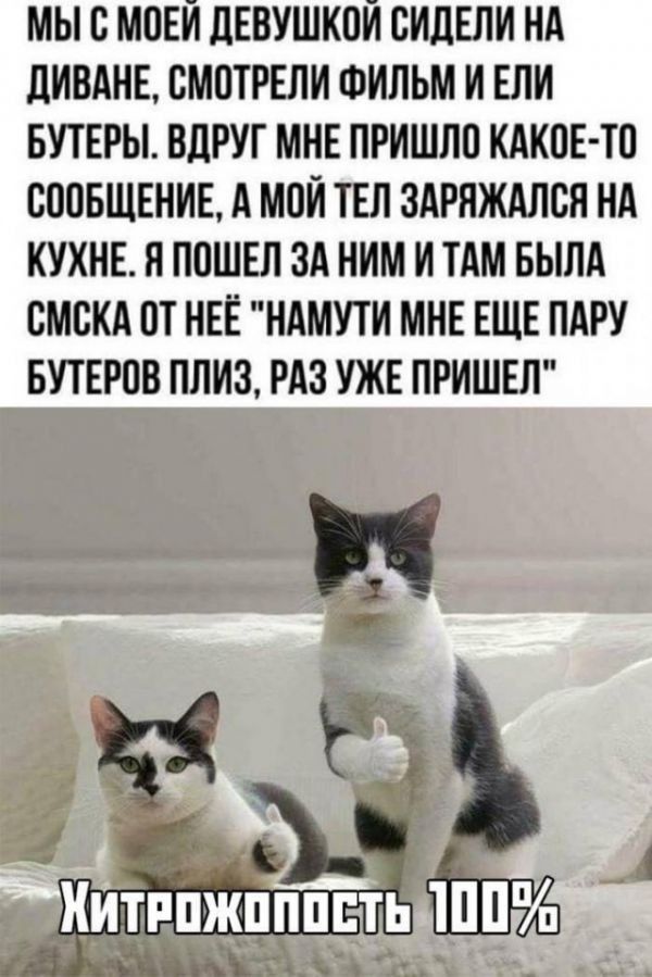 МЫ В МПЕИ ЦЕВУШКОИ СИЛЕЛИ НА дИВАНЕ ВМПТРЕЛИ ФИЛЬМ И ЕЛИ БУТЕРЫ ВДРУГ МНЕ ПРИШЛО КАКИЕ ТО СПОБЩЕНИЕ А МОИ ТЕЛ ЗАРНЖАЛСН НА КУХНЕ Я ППШЕЛ ЗА НИМ И ТАМ БЫЛА СМБКА 0Т НЕЁ НАМУТИ МНЕ ЕЩЕ ПАРУ БУТЕРОВ ПЛИЗ РАЗ УЖЕ ПРИШЕЛ