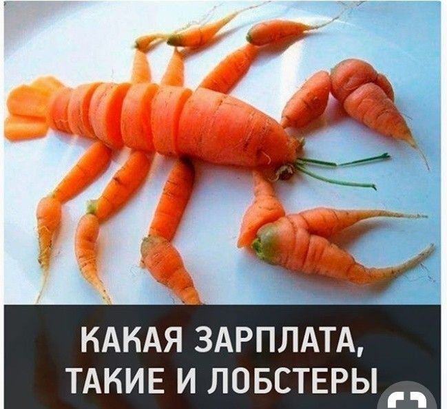 нАнАя ЗАРПЛАТА ТАКИЕ и ЛОБСТЕРЫ __