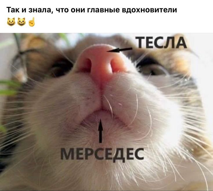 Так И знала ЧТО ОНИ главные ВДОХНОВИТеЛИ Ві