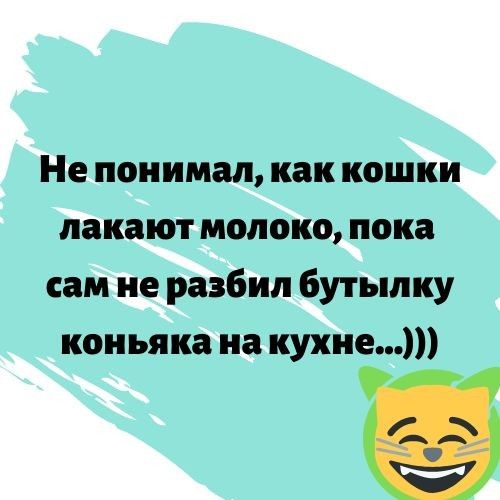 Не понимал как кошки пакают молоко пока сам не разбил бутылку коньяка на кухне