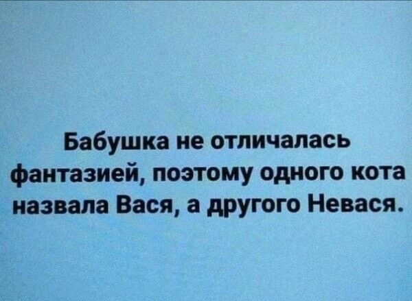Бабушка не отличалась фантазией поэтому одного кота назвала Вася а другого Невася