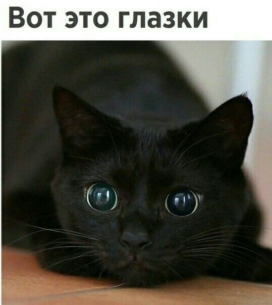 Вот это глазки