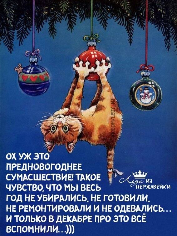 г А ОХ УЖ ЭТО ПРЕДНОВОГОДНЕЕ щ сумдсшвствиштдко сд НЕРХЁАВЕИКИ ЧУВСТВО ЧТО МЫ ВЕСЬ ГОД НЕ УБИРАЛИСЬ НЕ ГОТОВИЛИ НЕ РЕМОНТИРОВАЛИ И НЕ ОДЕВЩИСЬ И ТОЛЬКО В дЕКАБРЕ ПРО ЭТО ВСЕ ВСПОМНИЛИ