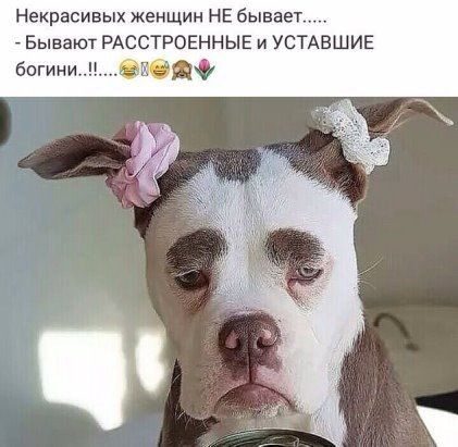 Некрасивых женщин НЕ бывае Бывают РАССТРОЕННЫЕ и УСТАВШИЕ
