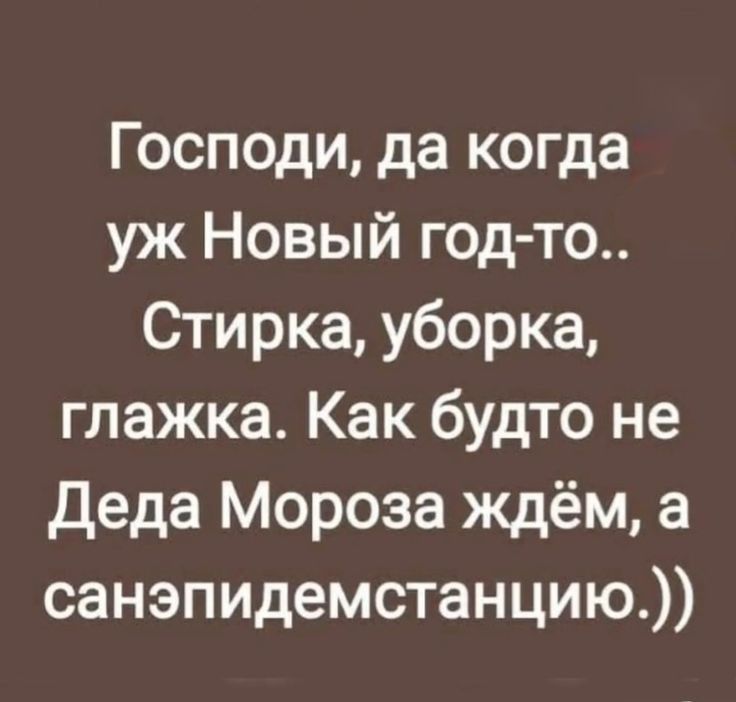 Господи да когда уж Новый год то Стирка уборка глажка Как будто не Деда Мороза ждём а санэпидемстанцию