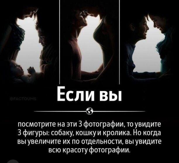 Если вы 9_ посмотрите на эти 3фотографии то увидите З фигуры собаку кошкуи кроликат Но когда вы увеличите их по отдельности вы увидите всю красоту фотографии
