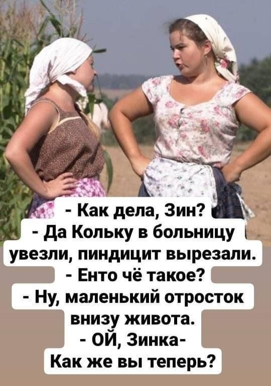 Как дела Зин да Копьку в больницу увезли пиндицит вырезали Енто чё такое Ну маленький отросток внизу живота ОЙ Зинка Как же вы теперь