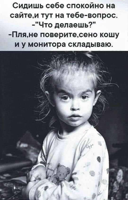 Сидишь себе спокойно на сайтем тут на тебевопрос Что делаешь Пляне поверитесено кошу И У МОНИТОРЭ складываю