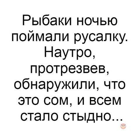 Рыбаки ночью поймали русалку Наутро протрезвев обнаружили что это сом и всем стало стыдно