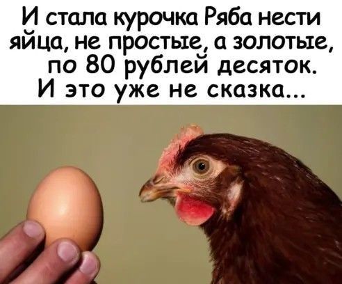15 стала курочка Ряба нести яица не простые золотые по 80 рублей десяток И это уже не сказка