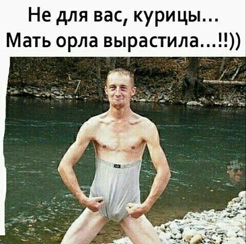 Не для вас курицы Мать орла вырастила