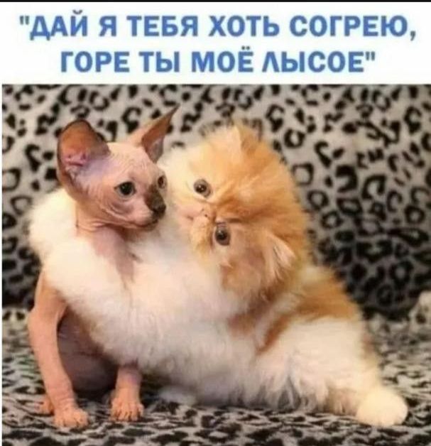 дАЙ Я ТЕБЯ хоть СОГРЕЮ гоп ты МОЁ АЫСОЕ