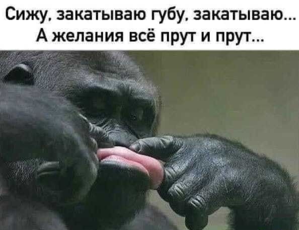 Сижу закатываю губу закатываю А желания всё прут и прут