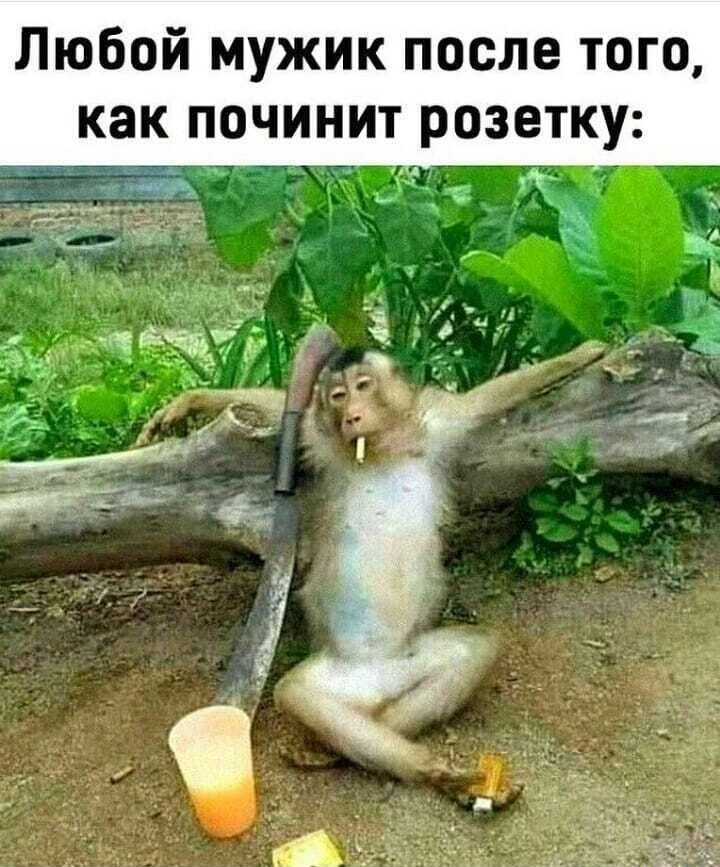 Любой мужик после того как починит розетку