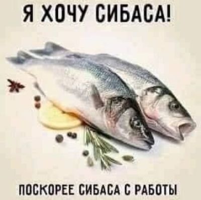 Я ХОЧУ БИБАСА ППБКОРЕЕ БИБАБА С РАБПТЫ