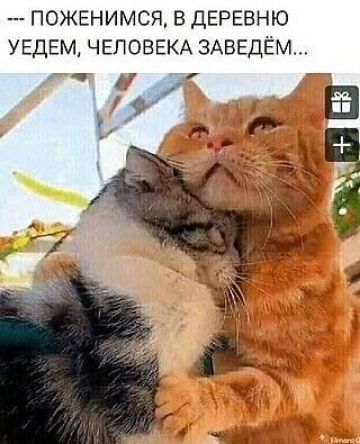 ПОЖЕНИМСЯ ВДЕРЕВНЮ УЕДЕМ ЧЕЛОВЕКА 3АВЕДЁМ _ 1
