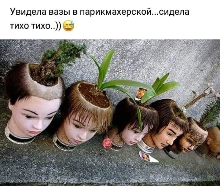 Увидела вазы в парикмахерскойсидела тихо тихо
