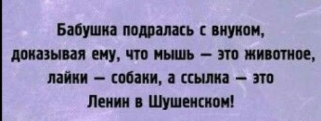 Бабушка попалась втом доказывая ему что мышь это животное лайт собаки ссд има т Пеппи Шушемиои