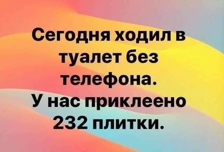 Сегодня ходил в туалет без телефона У нас приклеено 232 плитки