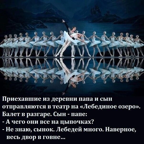 Приехавшие из деревни папа и сын отправляются в театр на Лебединое озеро Балет в разгаре Сын папе А чего они все на цыпочках Не знаю сынок Лебедей много Наверное весь двор в говне