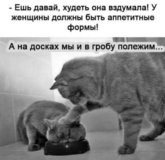 Ешь давай худеть она вздумала У женщины должны быть аппетитные формы А на досках мы и в гробу полежим