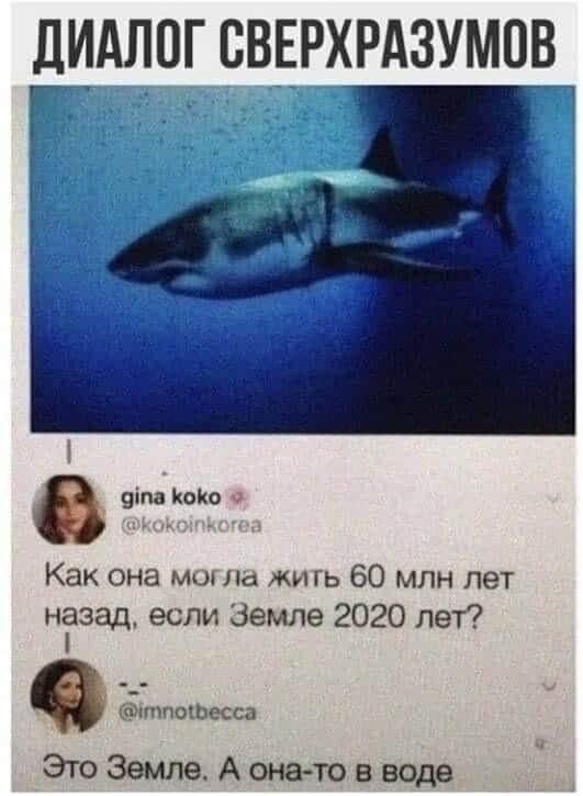 дИдЛПГ СВЕРХРАЗУМОВ яіпв капо Как она могла жи гь 60 млн лет нгзад если Земле 2020 лет ітпОШесса ЭтоЗемлеАона товводе