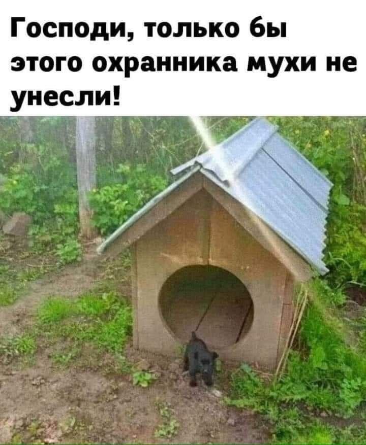 Господи, только бы этого охранника мухи не унесли!