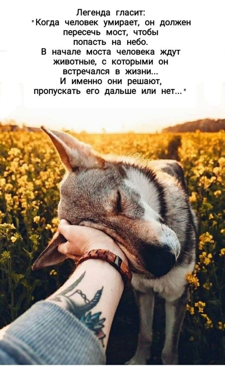 Легенда гласит: 