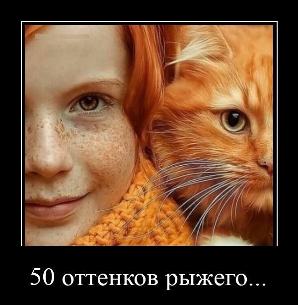50 оттенков рыжего