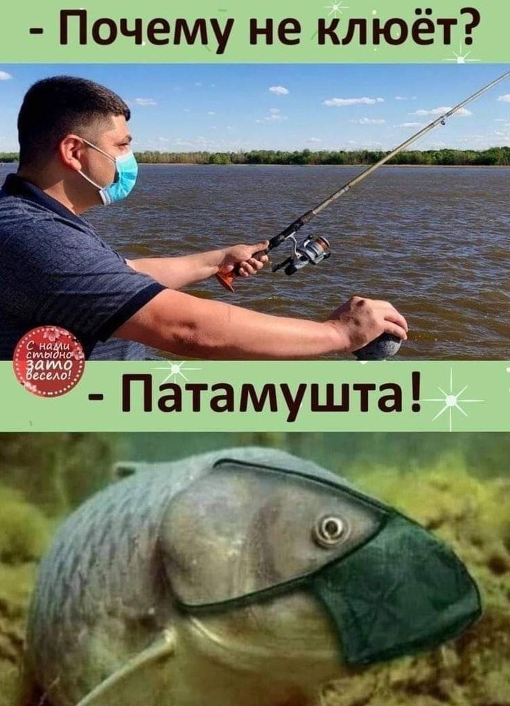 Почему не клюёт