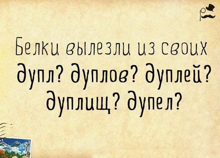 гг Белки вылезли из ваших дупл дуплое дуплеП дуплищ дупел